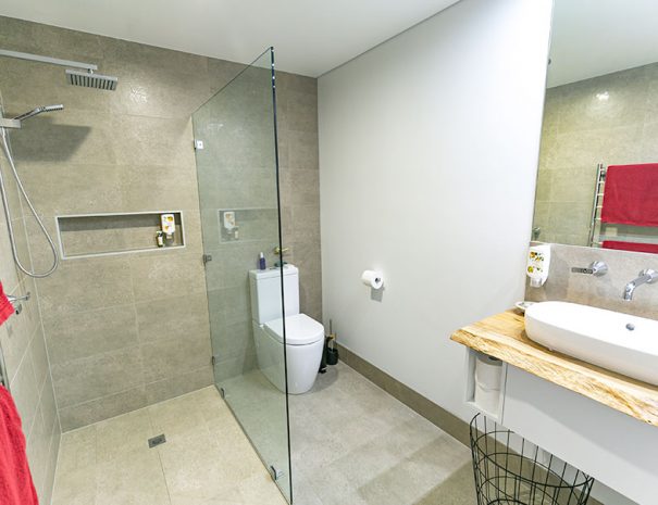 The bathroom. There is a toilet in the right hand corner. The walk in shower is to the left of the toilet, seperated by a glass wall. There is a niche in the shower wall, a rainfall shower head and a hand held shower head. The towel rail is located on the left hand side. There is a vanity cabinet with one basin on the right hand side.