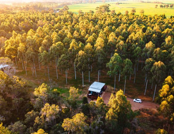 An over head drone shot of the 2 chalets at sunset. The tops of the trees are glowing golden in the sunlight. The chalet back bath decks can be seen. There is a car driving towards chalet bluegum.