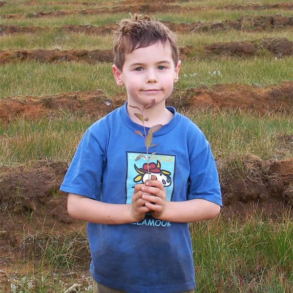 Owners son, Matthew Robinson 4 years old standing in the paddock and holding a tiny tree sapling that will soon be planted.