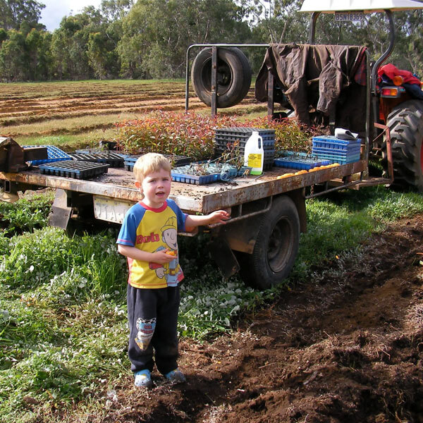 Owner's son, Myles Robinson 2 years old, standing in a field where the Rosegum sapplings are being planted. There is a tractor towing an old trailer with all of the Rosegum saplings on. 6000 saplings were planted.