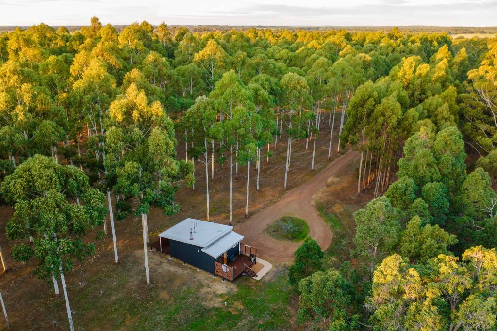chalet-bluegum-cabin-tree-chalets-forest-retreat.jpg