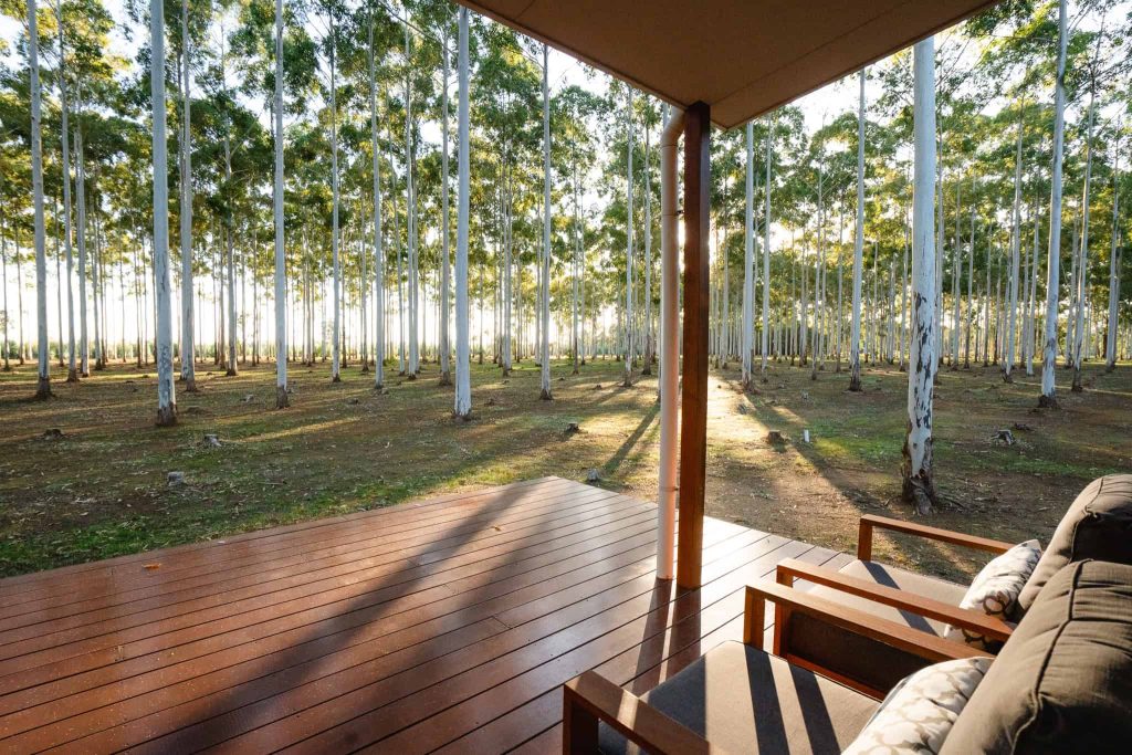chalet-bluegum-front-deck-tree-chalets-forest-retreat.jpg