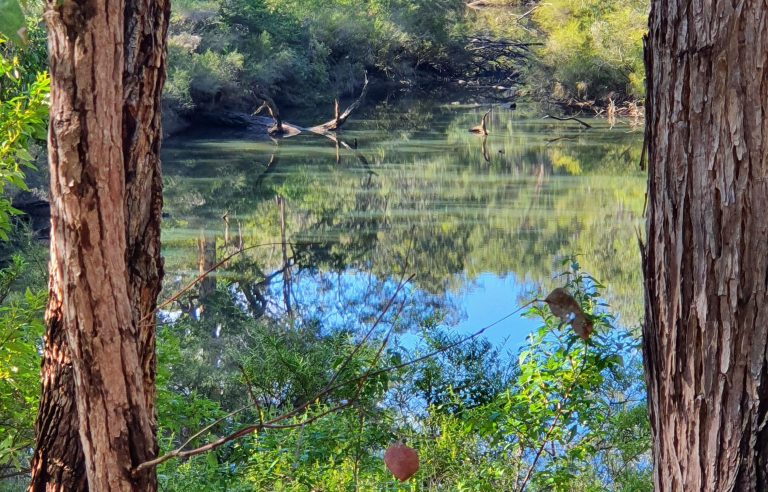 Barrabup Pool near Nannup