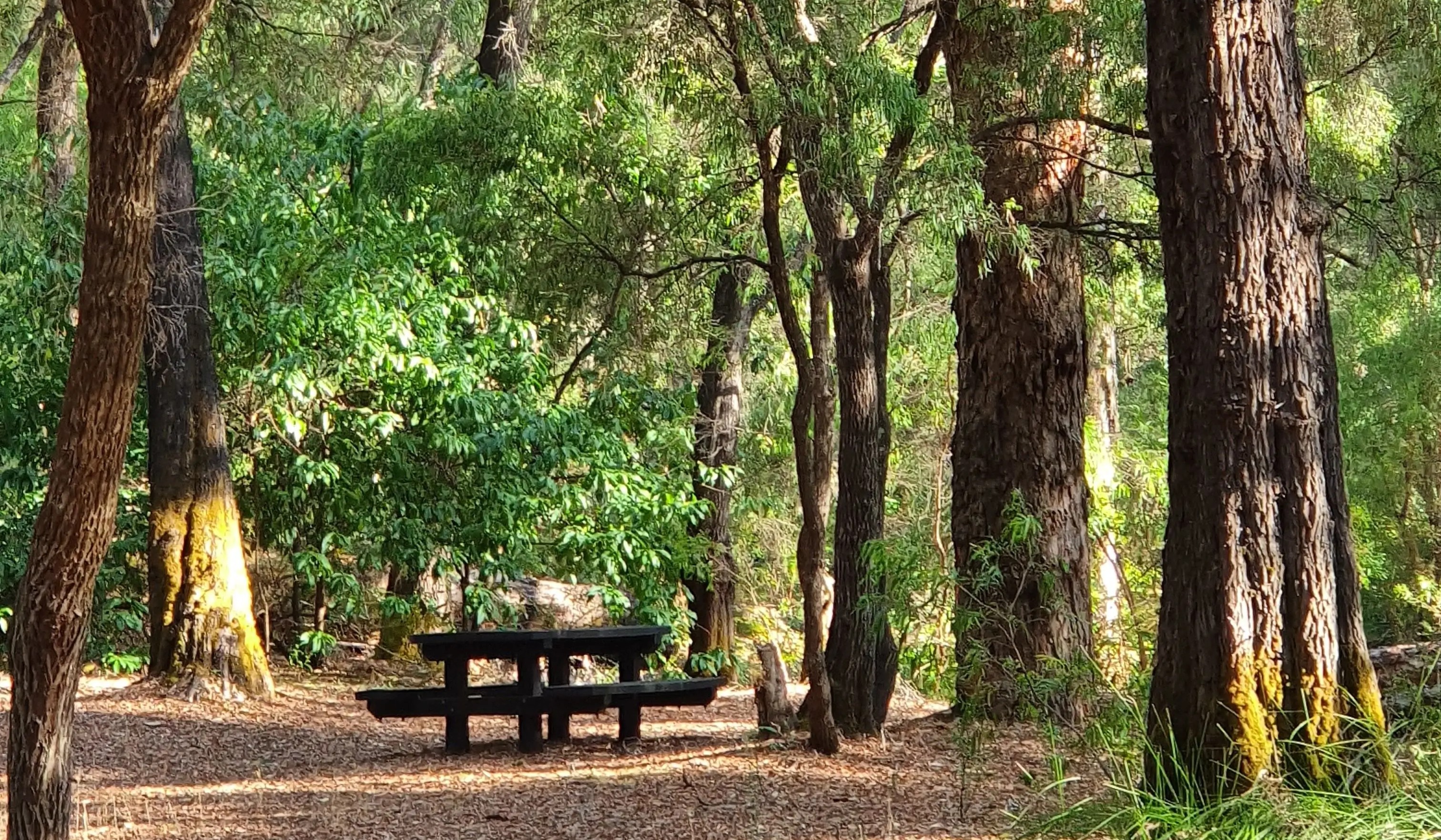 Picnic area at Sue's Bridge on the Blackwood River
