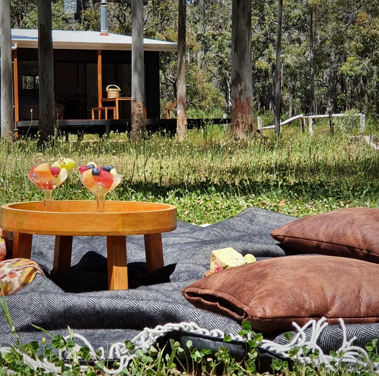 fruit and cheese on a picnic blanket under the trees