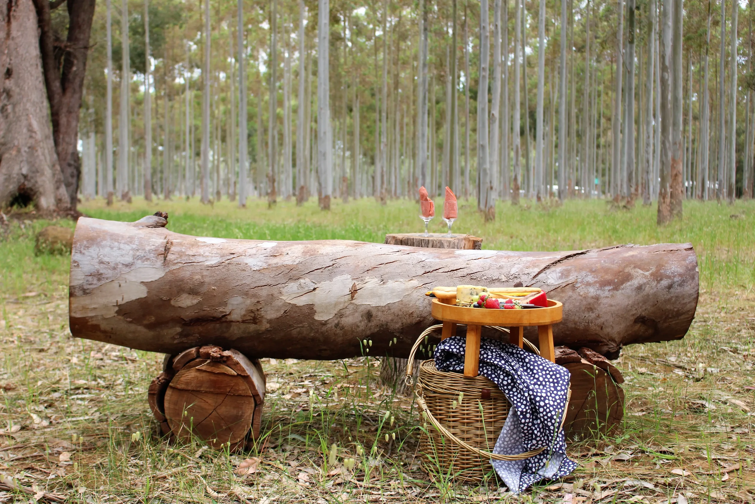 picnic scene with a rustic log seat and backdrop of trees